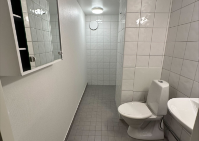 Exempelbild badrum Tycho Brahes gata